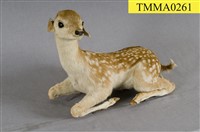 藏品(臺灣梅花鹿)的圖片